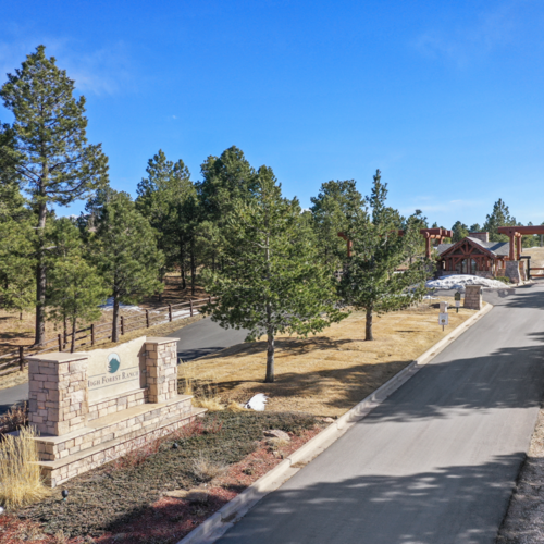 Monument or Black Forest: Which Is the Right Fit?