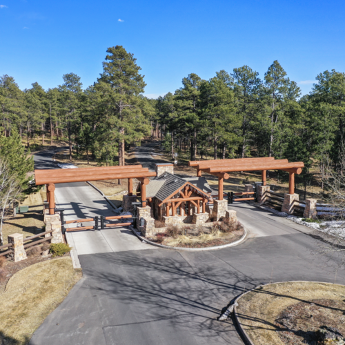 How Does Wildfire Risk Affect Home Insurance in Black Forest and Monument?