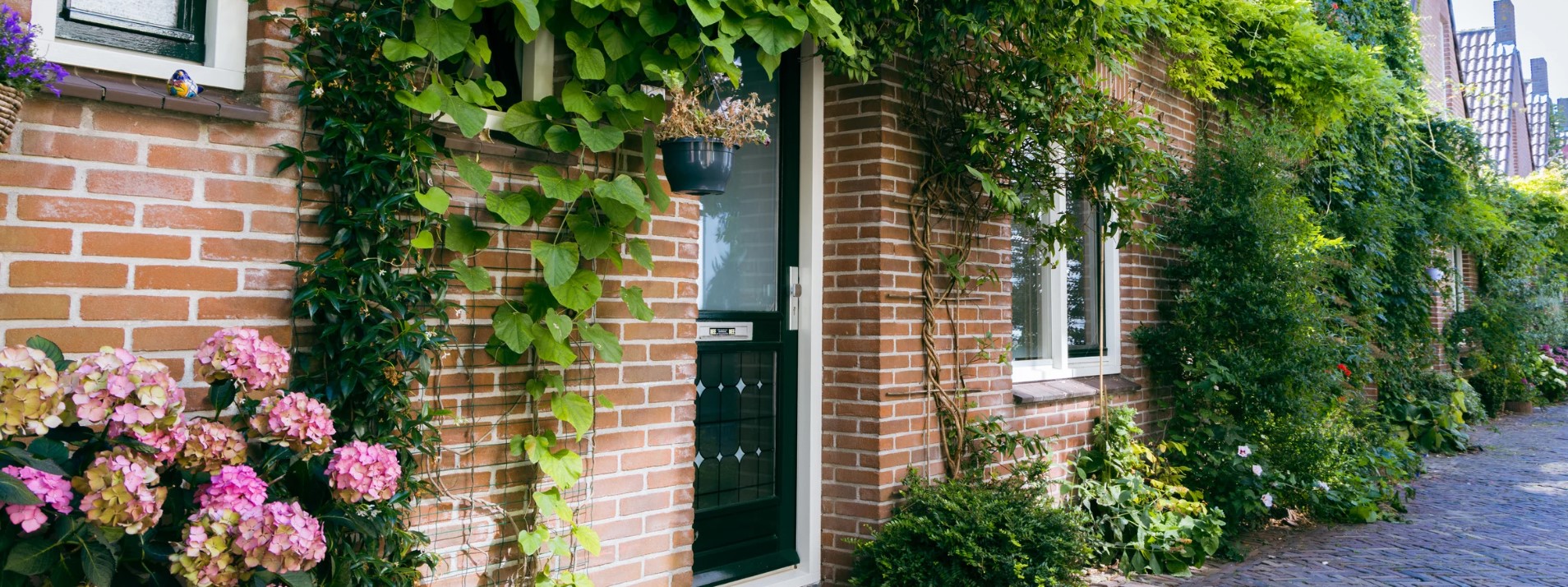 Screenshot 2025-05-20 123935