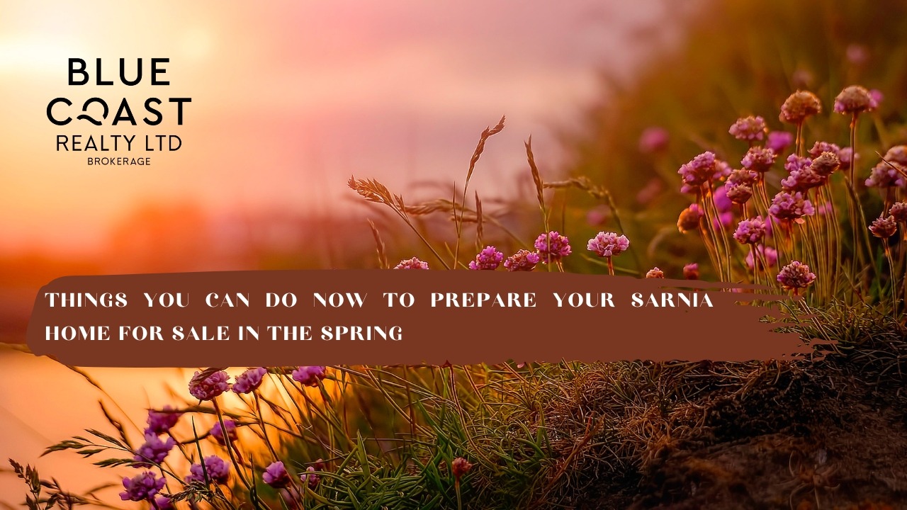 1740595048_Springbloom