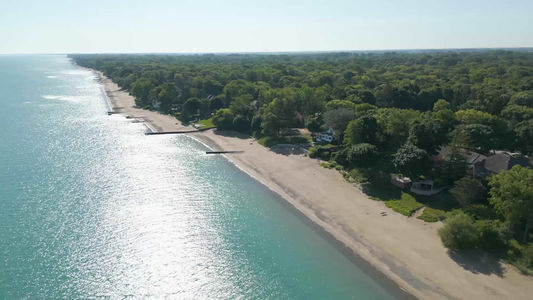 beachfront-bird - frame at 0m0s
