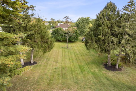 81-web-or-mls-DJI_0012