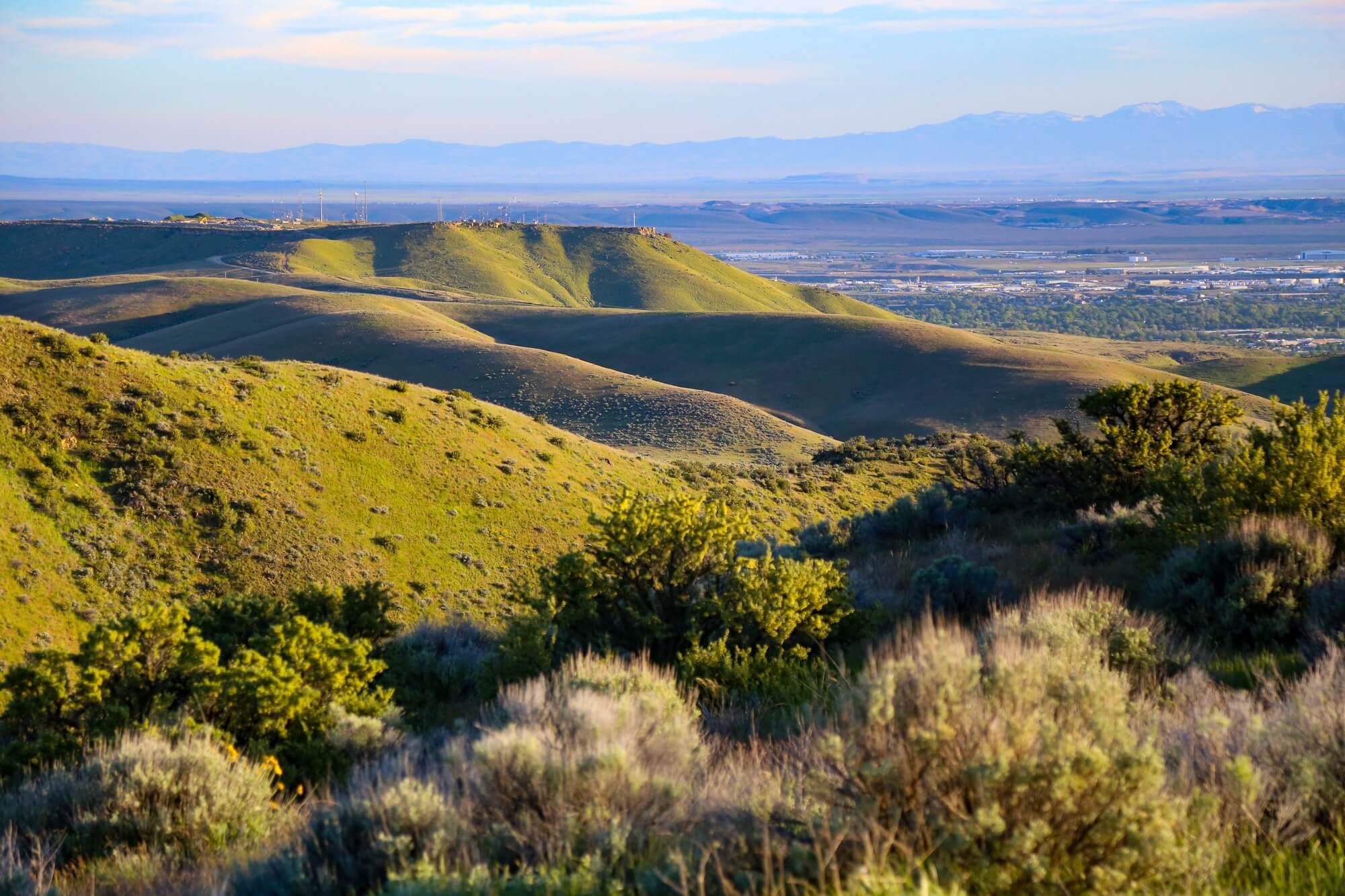 green rolling hills landscape