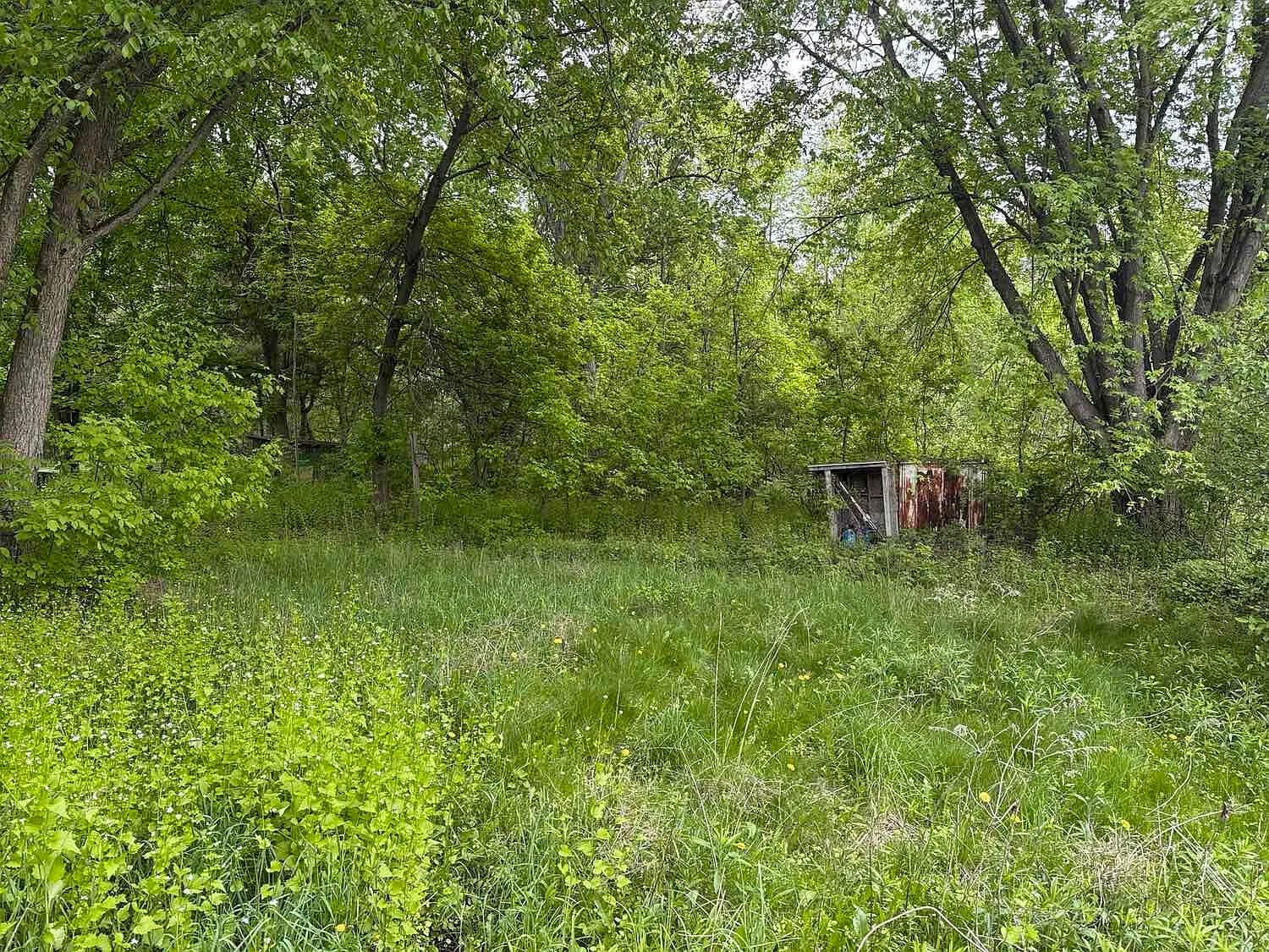 5f5d214288b33ef46738e37039086bf3-uncropped_scaled_within_1536_1152 (1)