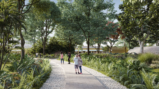 CAMINO_ANDADORES copy