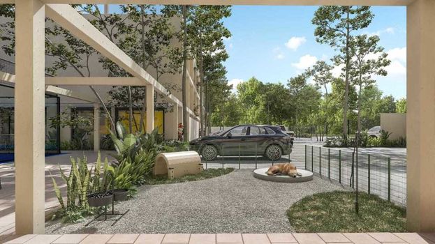 Vista exterior, pet garden en Dithéa Temozón New Living