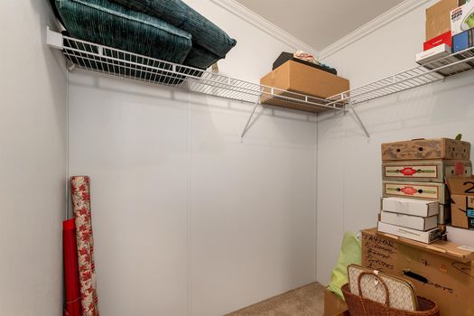 5074080-0DFC5FA8-8F67-4E9A-A8DD-BDD33E36E705