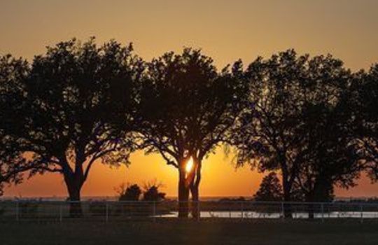 Homes for Sale in Frisco – Houses for Sale in Frisco – Frisco Homes for Sale - Caribbean Real Estate -Eakin Realtor Group Dallas