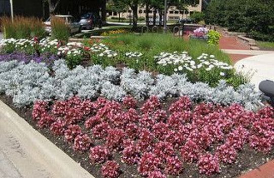 Oak Lawn Homes for Sale in Dallas – Houses for Sale in Dallas – Dallas Homes for Sale - Caribbean Real Estate -Eakin Realtor Group Dallas