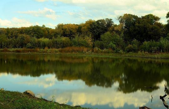 Farmers Branch Homes for Sale – Houses for Sale in Farmers Branch – Farmers Branch Homes for Sale - Caribbean Real Estate -Eakin Realtor Group Dallas