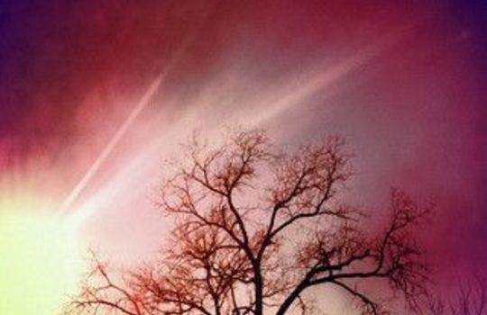 Homes for Sale in Flower Mound – Houses for Sale in Flower Mound – Flower Mound Homes for Sale - Caribbean Real Estate -Eakin Realtor Group Dallas