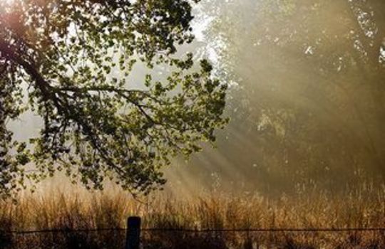 Lakewood Park Homes for Sale in Dallas – Houses for Sale in Dallas – Dallas Homes for Sale - Caribbean Real Estate -Eakin Realtor Group Dallas