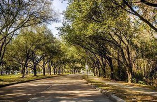 Westlake Real Estate - Homes for Sale in Dallas – Houses for Sale in Dallas – Dallas Homes for Sale - Caribbean Real Estate -Eakin Realtor Group Dallas