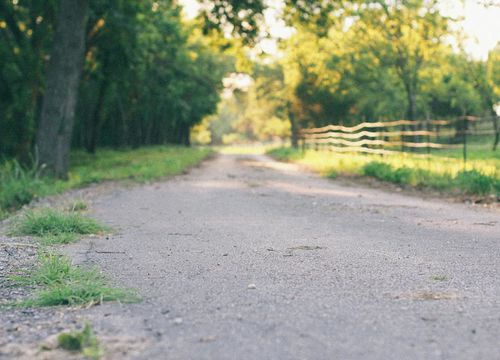 pexels-jeffstapleton-13122993