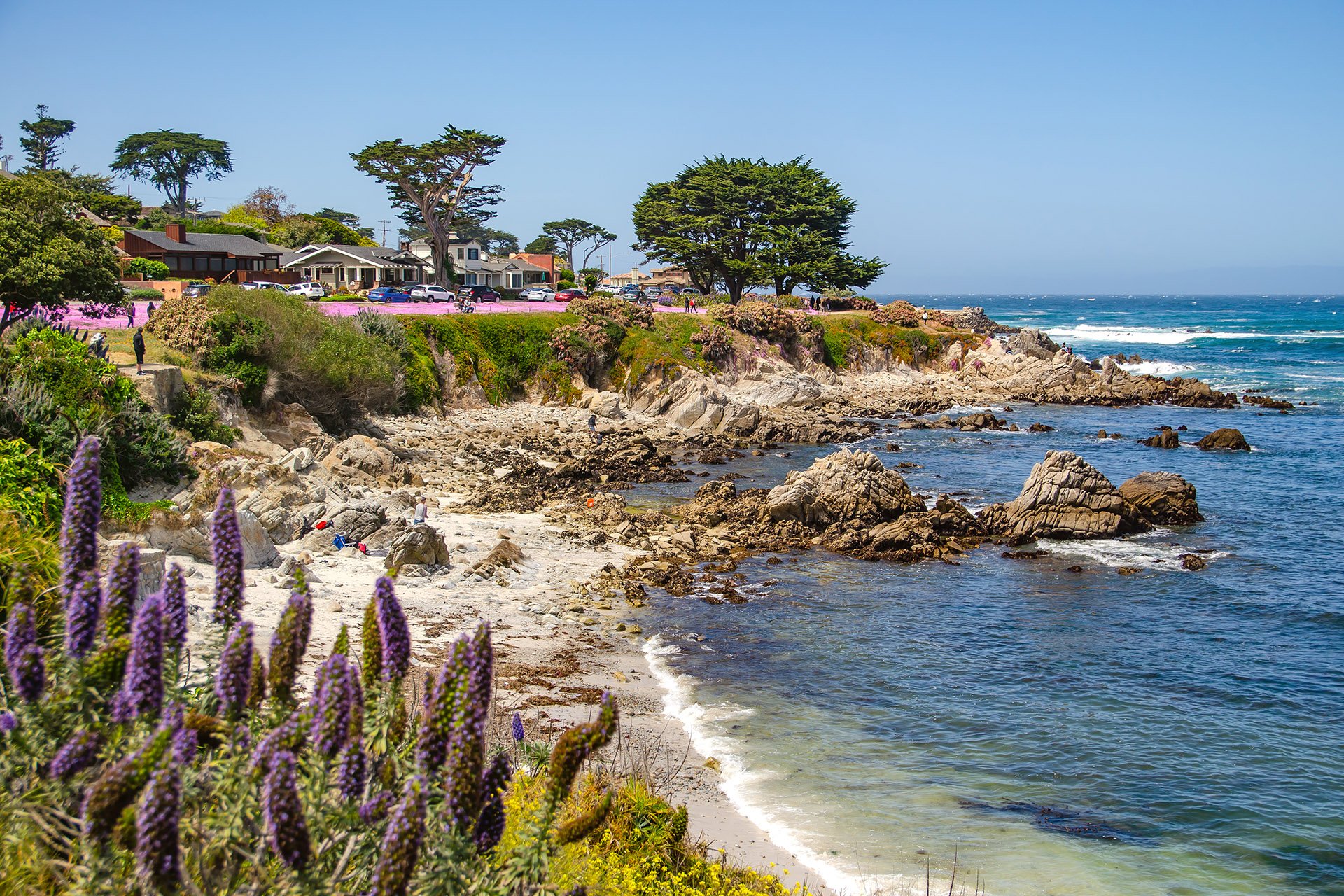 Scenic,View,Of,The,Pacific,Coast,,Lovers,Point,Park,,Monterey