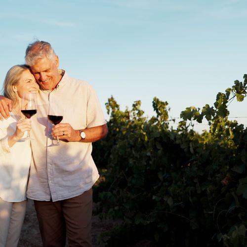 Empty Nest, Full Heart: Navigating the Emotions of Downsizing in WNC