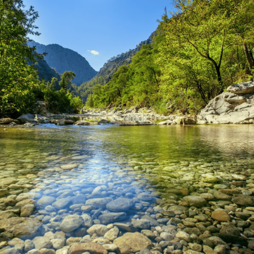 Outdoors in Arden, NC : Nature at your Doorstep