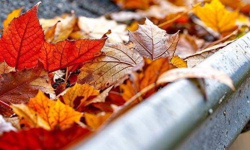 Fall Maintenance for Your East Bay Home