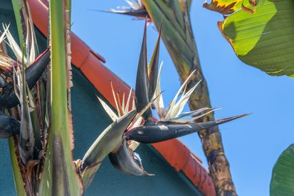 054e127589b27e0015b445fea2371d0a