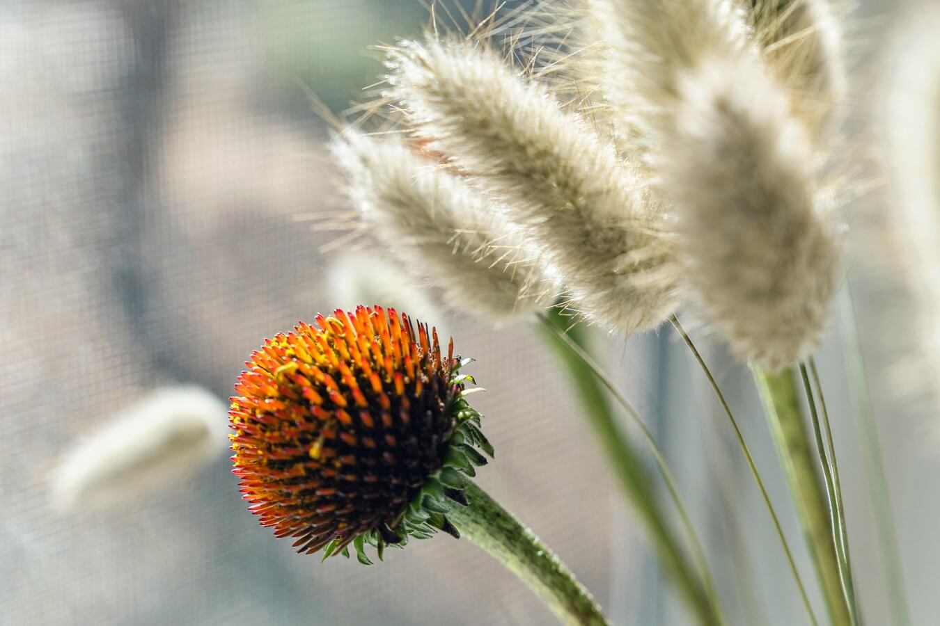 1305-contra-costa-drive.75872.p3k.090.web