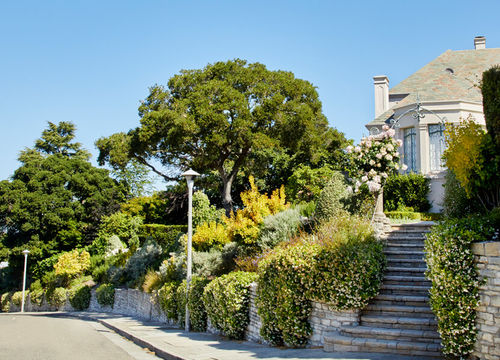 Piedmont photo TTL Website