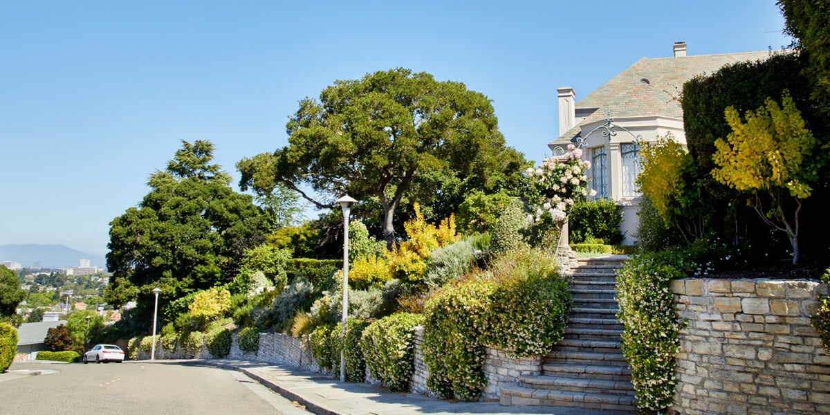 Piedmont photo TTL Website