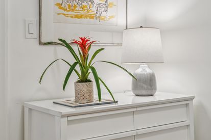 038-4926-desmond-street.84622.p2k.050.web