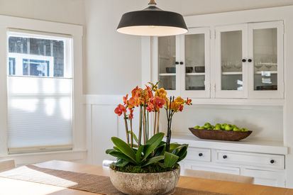 1020 Ventura Ave (30)