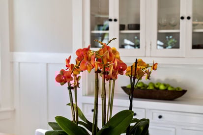 1020 Ventura Ave (7)