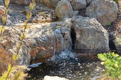 1305 Contra Costa Drive (10)