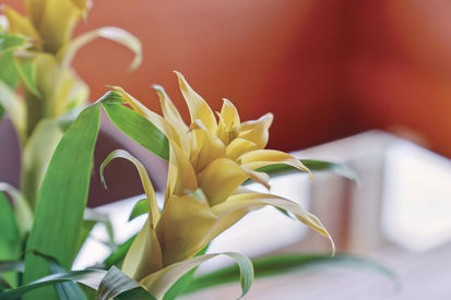 1305 Contra Costa Drive (30)