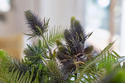 1305 Contra Costa Drive (62)