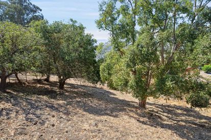 1305 Contra Costa Drive (89)