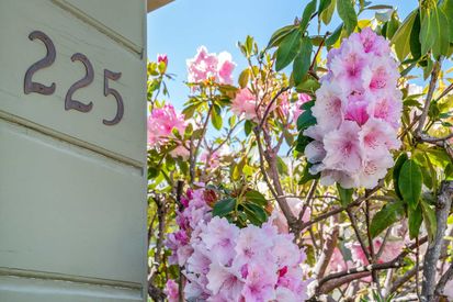 225 San Carlos Ave (1)