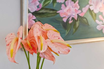 225 San Carlos Ave (25)