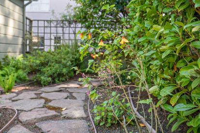 225 San Carlos Ave (5)