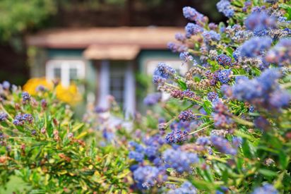 5020 Santa Rita Rd (37)