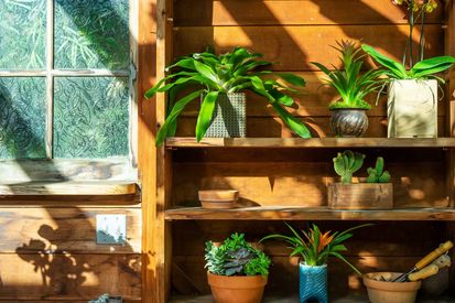 504 San Carlos Ave (40)