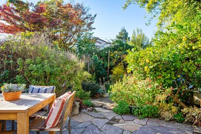 504 San Carlos Ave (45)