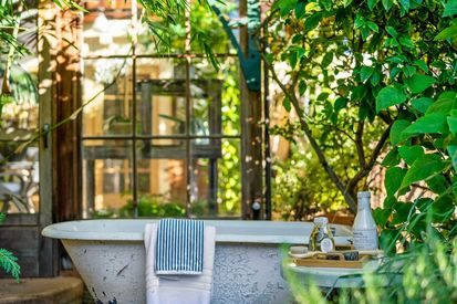 504 San Carlos Ave (50)