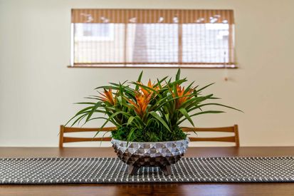 561 Santa Clara Ave (17)