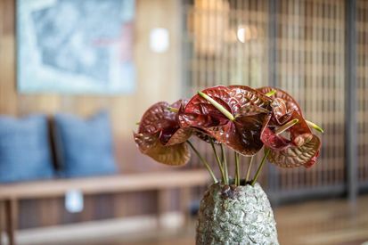 737 Bay Tree Ln (16)