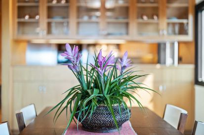 737 Bay Tree Ln (23)