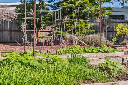 031-1468-monterey-street.86807.p1k.039.web