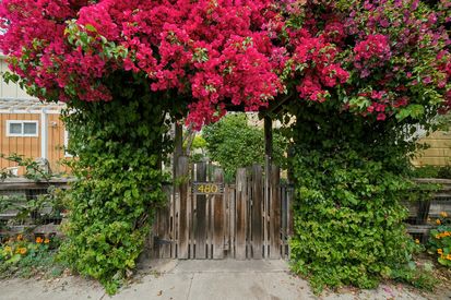 006-480-42nd-street-e.89259.p2k.003.web