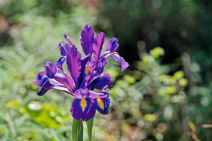 010-1698-la-loma-avenue.88650.p1k.009.web