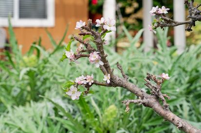 086-480-42nd-street-e.89259.p2k.047.web