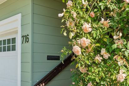 014-716-ashbury-avenue.89504.p2k.011.web