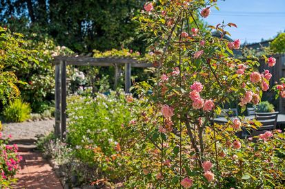 124-716-ashbury-avenue.89504.p2k.074.web