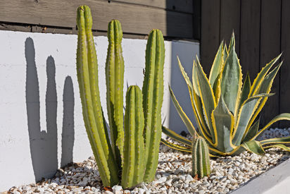 6735_Kenilworth_Ave_El_Cerrito_CA_94530_Stills_Web_MLS_72ppi-6